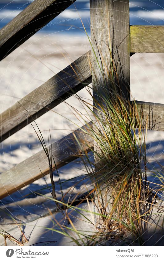 Beach Life I Nature Esthetic Baltic Sea Baltic island Beach dune Beach life Sand Coast Ocean Colour photo Subdued colour Exterior shot Detail Experimental