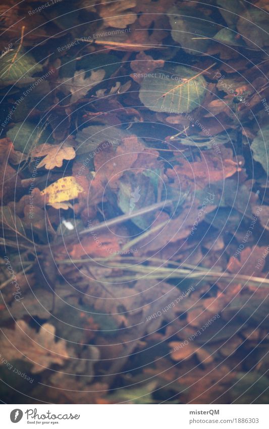 Autumn puddle. Art Esthetic Puddle Leaf Decompose Brown Autumnal Colour photo Multicoloured Exterior shot Detail Experimental Abstract Deserted Copy Space left