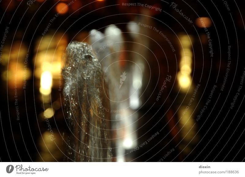 water mannheims Water Deserted Places Wet Bubbling Water fountain Light Mannheim Fountain Colour photo Exterior shot Night Contrast Reflection