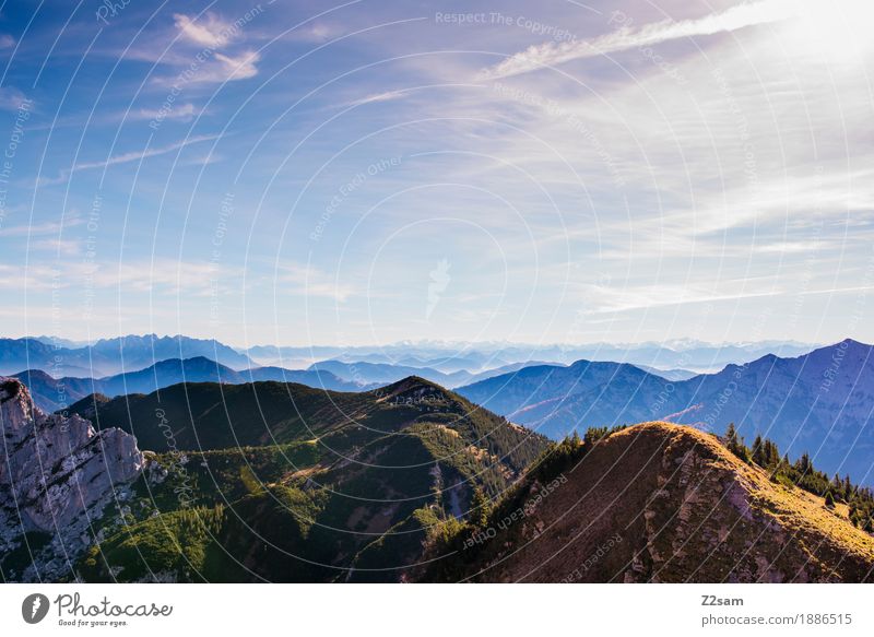 Bavaria direction Austria Adventure Mountain Hiking Nature Landscape Sky Autumn Beautiful weather Alps Peak Esthetic Far-off places Gigantic Natural Green