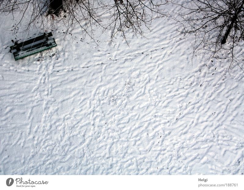 Tracks in the snow Environment Nature Landscape Winter Weather Beautiful weather Ice Frost Snow Plant Tree Bench Wood Breathe Freeze Esthetic Simple Cold