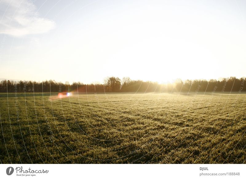 rising Environment Nature Landscape Plant Elements Earth Sand Sky Sky only Cloudless sky Clouds Storm clouds Night sky Stars Horizon Sun Summer Climate