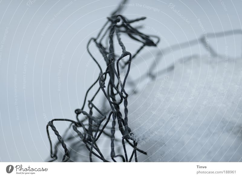 Snow line or the hot wire Winter Climate Ice Frost Cold Wire netting fence Chaos warped Destruction Metal catch Block snow line Subdued colour Close-up Deserted