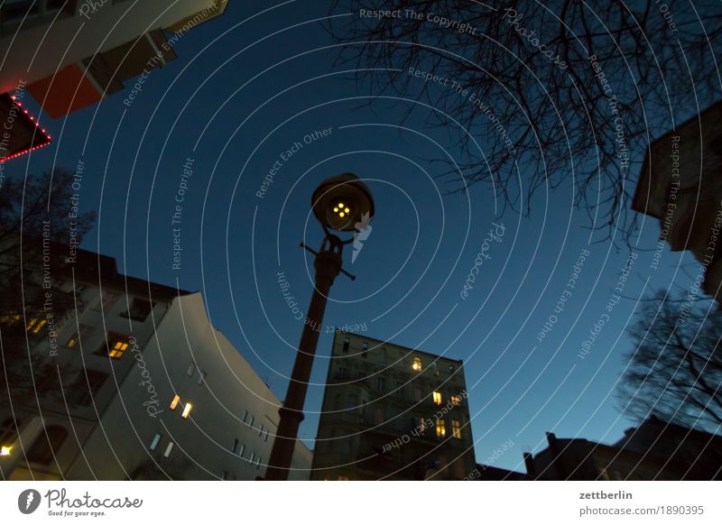 Frog view Schöneberg Evening Dark Facade Window House (Residential Structure) Sky Blue sky Sky blue Backyard Courtyard Interior courtyard Downtown Light