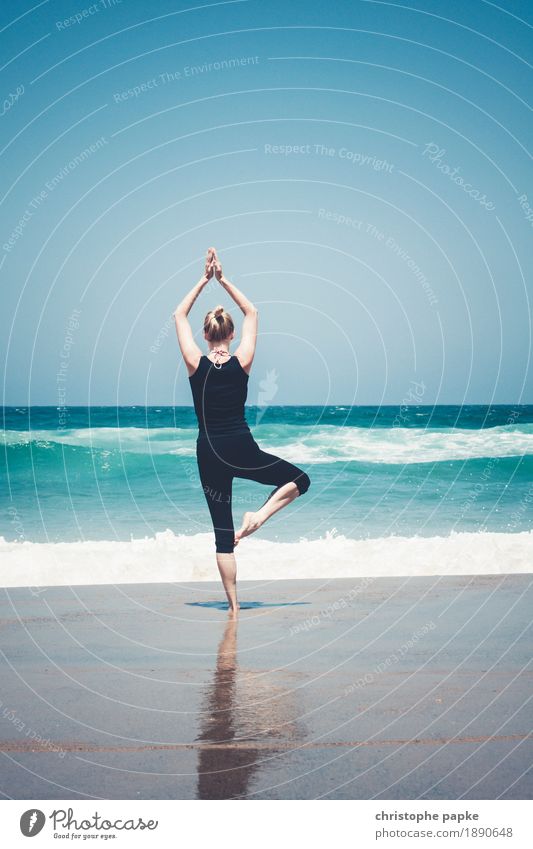 Tree by the sea Well-being Contentment Senses Relaxation Calm Meditation Vacation & Travel Summer Summer vacation Yoga Feminine Woman Adults 1 Human being