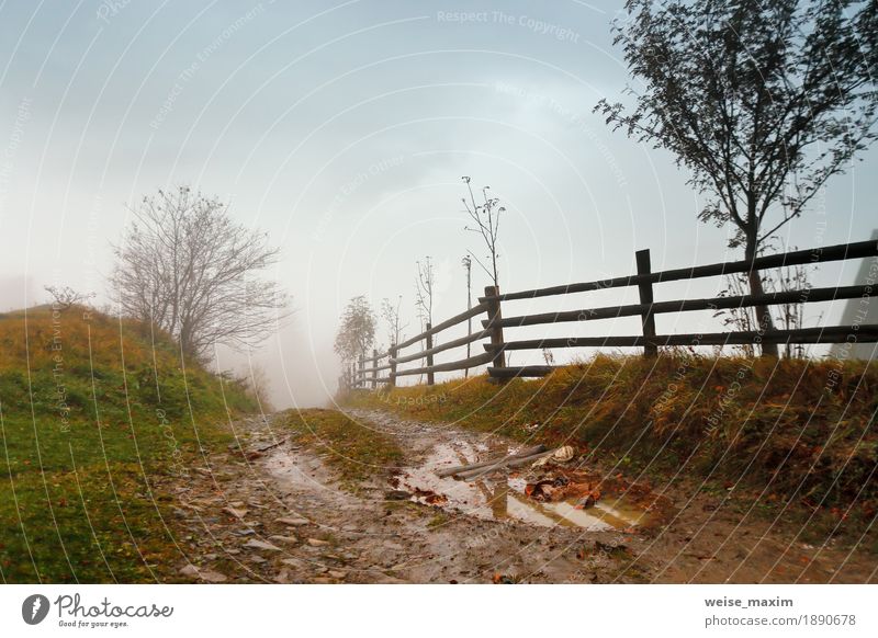 Muddy ground after rain in Carpathian mountains. Extreme path Vacation & Travel Trip Adventure Mountain Nature Landscape Sky Clouds Autumn Weather Storm Fog