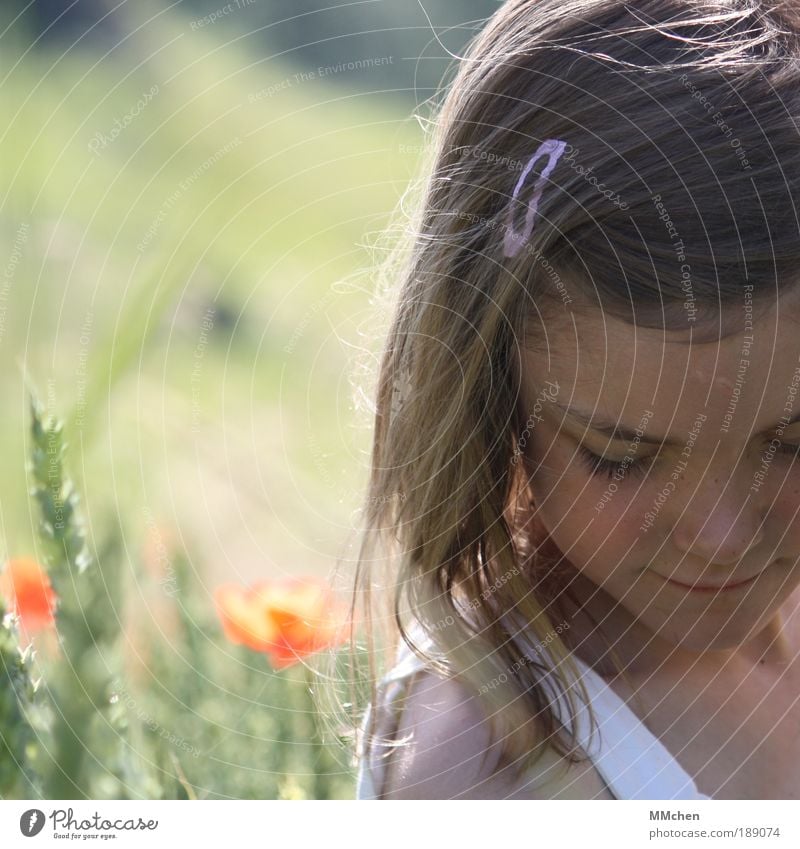 hollowed Girl Head Face 1 Human being 3 - 8 years Child Infancy Nature Landscape Plant Summer Beautiful weather Grass Poppy Grain Field Think Discover Smiling