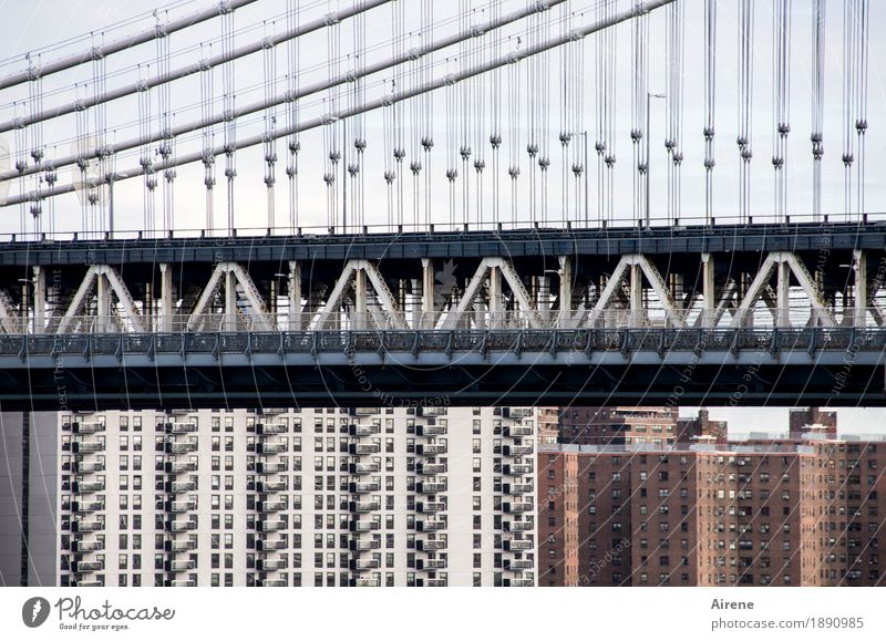 under or over New York City Americas Town Downtown High-rise Bridge Suspension bridge Facade Tourist Attraction Traffic infrastructure Rail transport Concrete