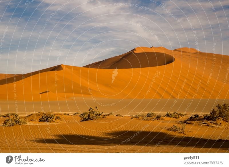 Sossusvlei (Namibia) Environment Nature Landscape Plant Elements Earth Sand Sky Clouds Summer Beautiful weather Warmth Drought Bushes Hill Desert Dune