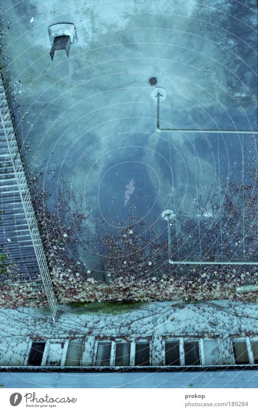 Star Trek - Nuremberg Edition House (Residential Structure) Building Chaos Roof Window Clothesline Water Illogical Sky Crazy Leaf Ivy Muddled Universe Backyard