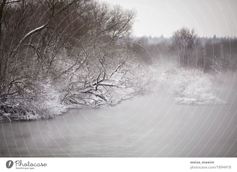 Snow and frost on the trees and bushes Vacation & Travel Winter Nature Landscape Plant Clouds Weather Fog Snowfall Tree Bushes Park Forest River bank Lake White