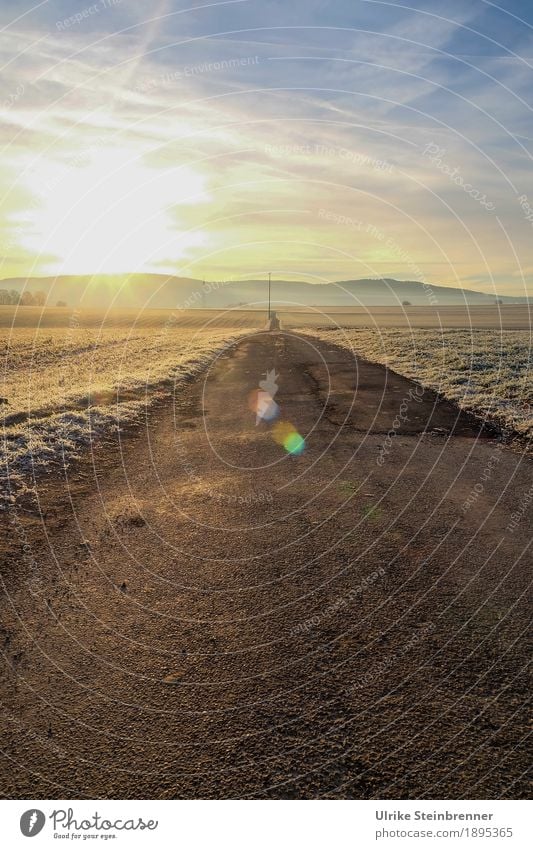 In the morning on the dirt road Sunbathing Winter Hiking Nature Landscape Plant Sky Clouds Horizon Beautiful weather Ice Frost Grass Field Hill Sulz-Holzhausen