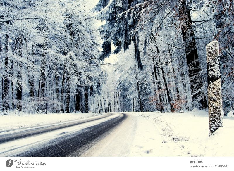 Winter tyre test track Nature Landscape Plant Weather Bad weather Ice Frost Snow Tree Forest Traffic infrastructure Road traffic Motoring Street Cold Blue White