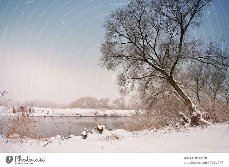 Snowfall over the river. Winter misty cloudy snowy weather Vacation & Travel Tourism Far-off places Freedom Winter vacation Nature Landscape Plant Sky Clouds