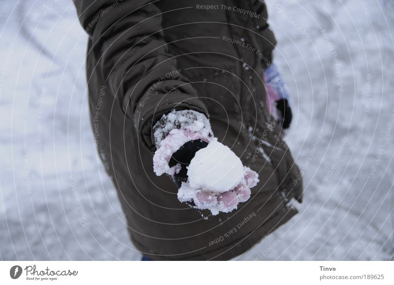 On the snowball field 1 Human being Environment Elements Winter Climate Weather Ice Frost Snow Jacket Coat Cold Joy Gloves Snowball fight To hold on Indicate