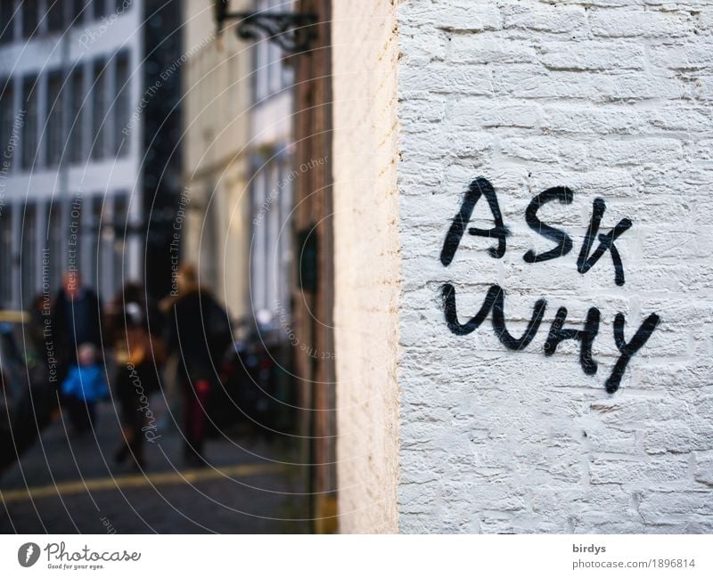 hang on Human being Child Family & Relations 5 Group Town House (Residential Structure) Wall (barrier) Wall (building) Characters Graffiti Going Uniqueness