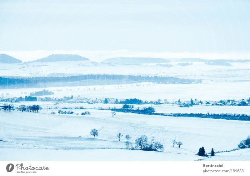 Cold view Winter vacation Landscape Sky Cloudless sky Horizon Fog Ice Frost Snow Tree Field Hill Mountain Peak Black Forest Germany Village Blue Idyll Snowscape