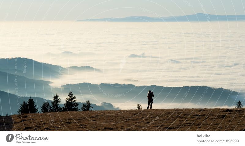 above the clouds Nature Landscape Sky Clouds Horizon Autumn Winter Beautiful weather Fog Tree Meadow Mountain Peak Blue Brown Green Black White Emotions Moody