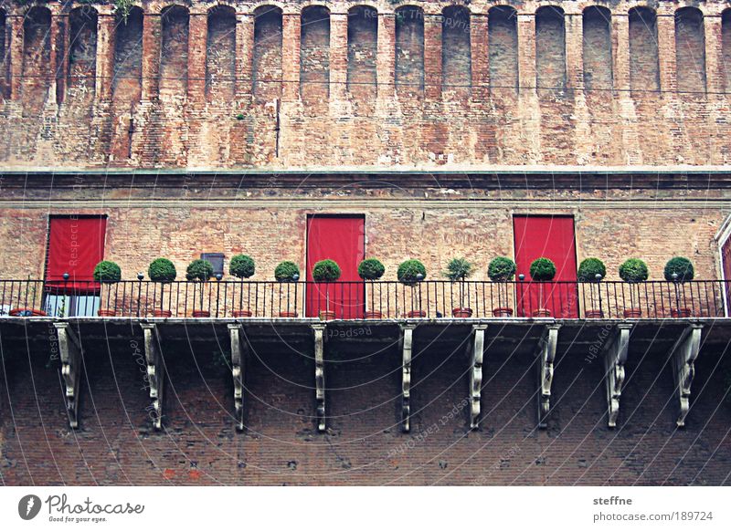 Girl Ferrari Ferrara Italy Town Old town Dream house Castle Wall (barrier) Wall (building) Beautiful Cute Elegant Grand Tree Colour photo Exterior shot