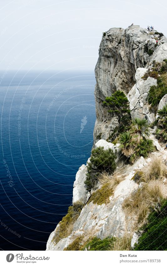 Touri on the Rocks Summer Summer vacation Ocean Island Nature Landscape Plant Animal Elements Earth Water Sky Cloudless sky Beautiful weather Tree Grass Bushes