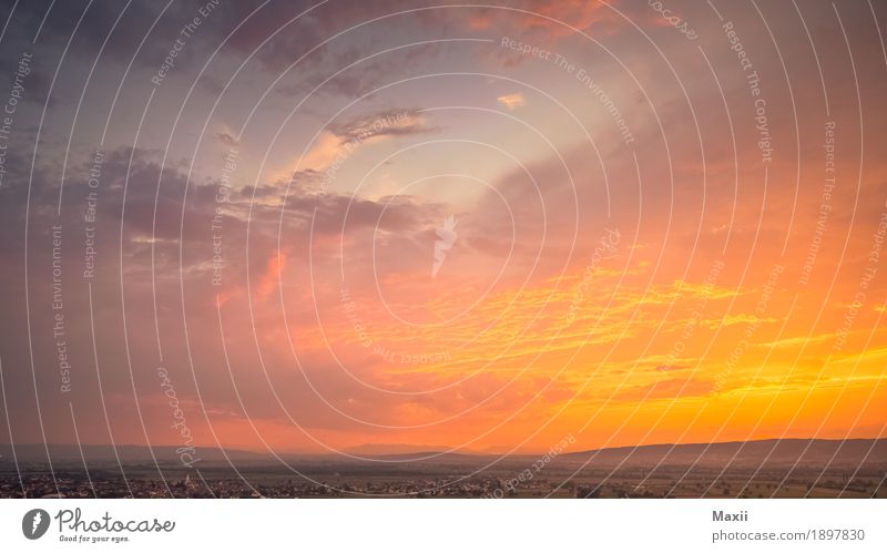 Sunset at the Austrian/Hungarian border Environment Landscape Sky Clouds Horizon Sunrise Sunlight Summer Beautiful weather Plant Tree Grass Meadow Field Forest