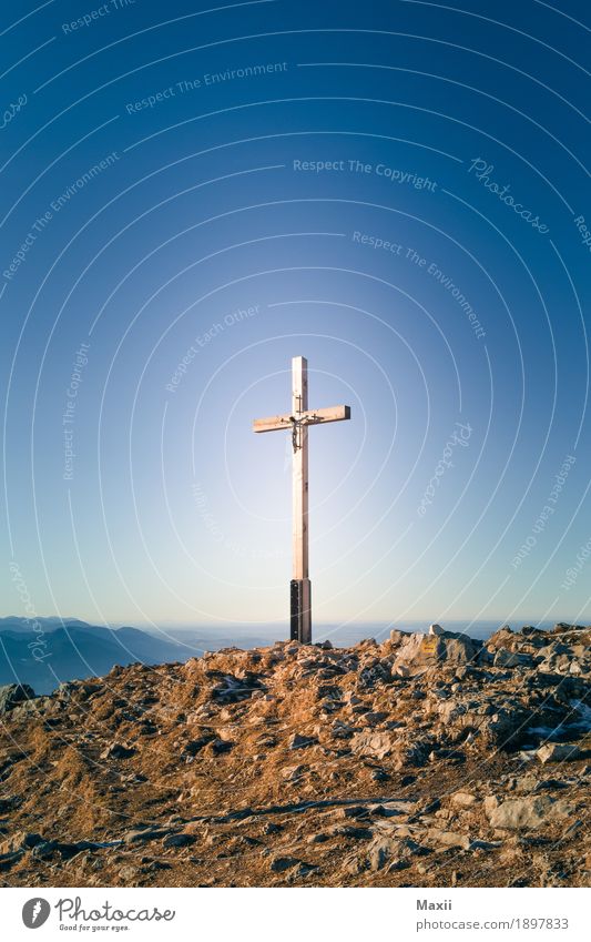 Summit cross of the Hochries Sky Cloudless sky Sun Winter Beautiful weather Alps Mountain reed Peak Calm Crucifix Peak cross Bavaria Colour photo Multicoloured