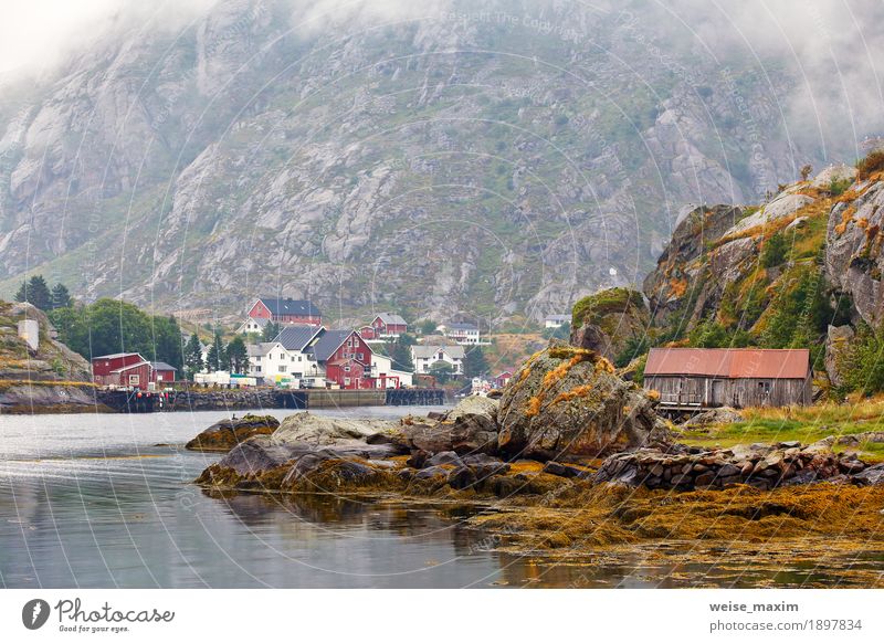 Norway village on a fjord. Nordic cloudy summer day Vacation & Travel Tourism Trip Adventure Freedom Summer Ocean Island Mountain Living or residing