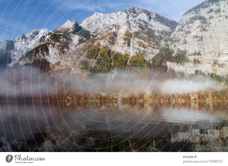 mountain world Vacation & Travel Trip Mountain Nature Landscape Sky Autumn Fog Rock Peak Lakeside Lake Königssee Calm Wanderlust Bizarre Contentment Idyll