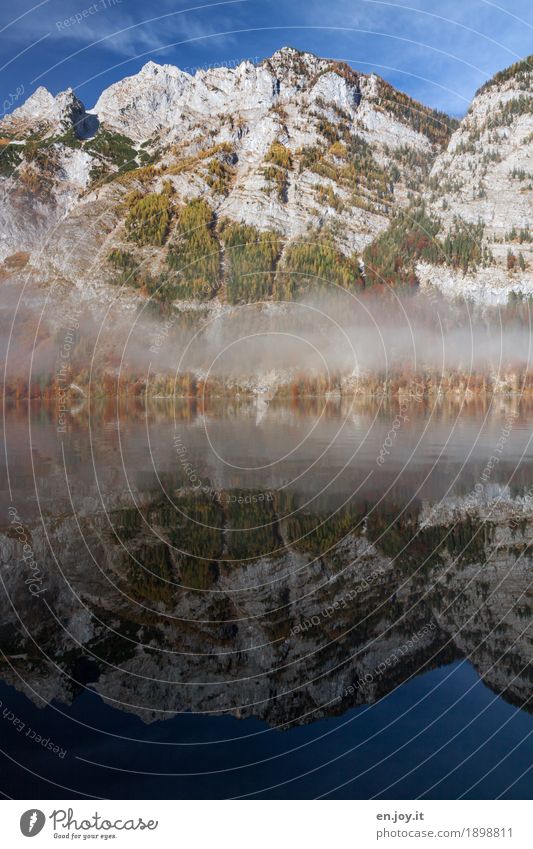 morning fog Adventure Mountain Nature Landscape Elements Sky Autumn Climate Fog Rock Peak Lakeside Lake Königssee Bavaria Germany Wanderlust Bizarre Loneliness