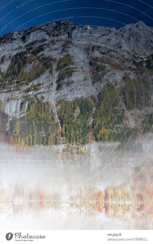 Orientation | slos Nature Landscape Elements Water Cloudless sky Autumn Fog Forest Rock Alps Mountain Berchtesgaden Alpes Lakeside Lake Königssee Bavaria