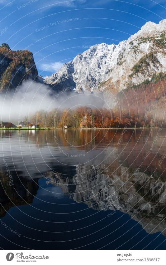 symmetry Vacation & Travel Tourism Trip Mountain Nature Landscape Cloudless sky Autumn Fog Forest Rock Alps Watzmann Berchtesgaden Alpes Lakeside Lake Königssee