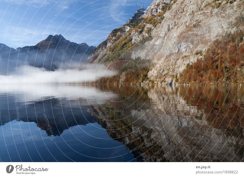 Invisible Vacation & Travel Tourism Trip Far-off places Mountain Nature Landscape Water Sky Autumn Fog Rock Berchtesgaden Alpes Lakeside Lake Königssee