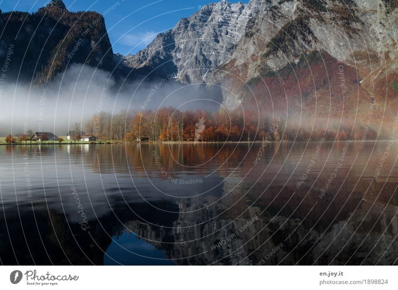 perfect weather Environment Nature Landscape Autumn Fog Rock Alps Mountain Berchtesgaden Alpes Watzmann Lakeside Lake Königssee St. Bartholomä Bavaria