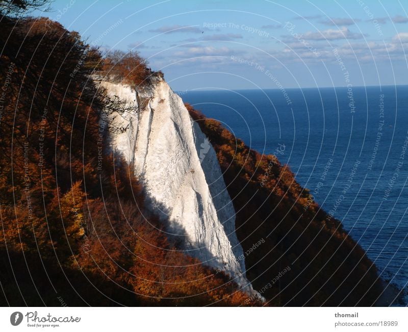 chalk cliffs Königsstuhl Rügen Ocean Autumn Vantage point Far-off places Vacation & Travel Kreidefelsen Water Baltic Sea Island Rock Germany