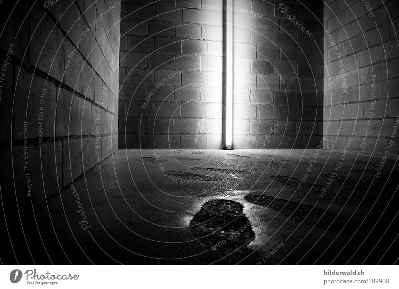 footprint Feet Exhibition Museum Stand Sadness Cold Narrow Fear Footprint Silhouette Neon light Black & white photo Interior shot Copy Space right Twilight