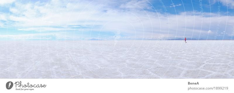 Woman walks over dry Uyuni salt lake in Bolivia Human being Adults Nature Experience Exotic Vacation & Travel Environment Far-off places Salt Lake