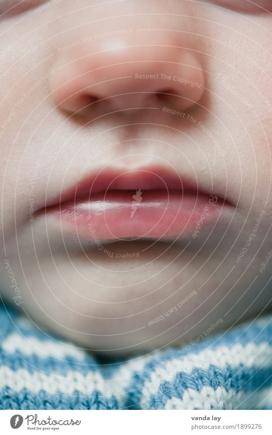 Very close Human being Child Baby Toddler Skin Face Nose Mouth 1 0 - 12 months Near Delicate Lips Colour photo Close-up Detail Macro (Extreme close-up)