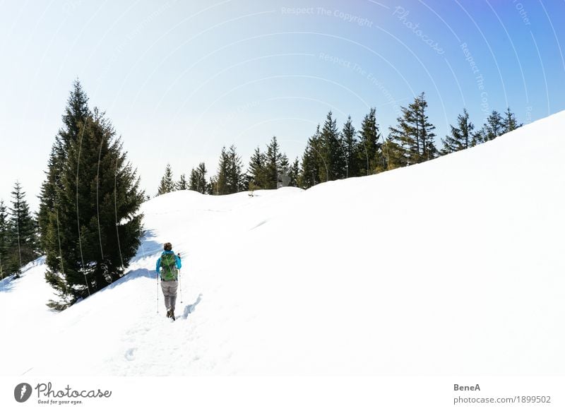 Woman hiking through the snow-covered Hochries mountain landscape Relaxation Vacation & Travel Winter Sports Adults Nature Fitness Adventure Discover Experience