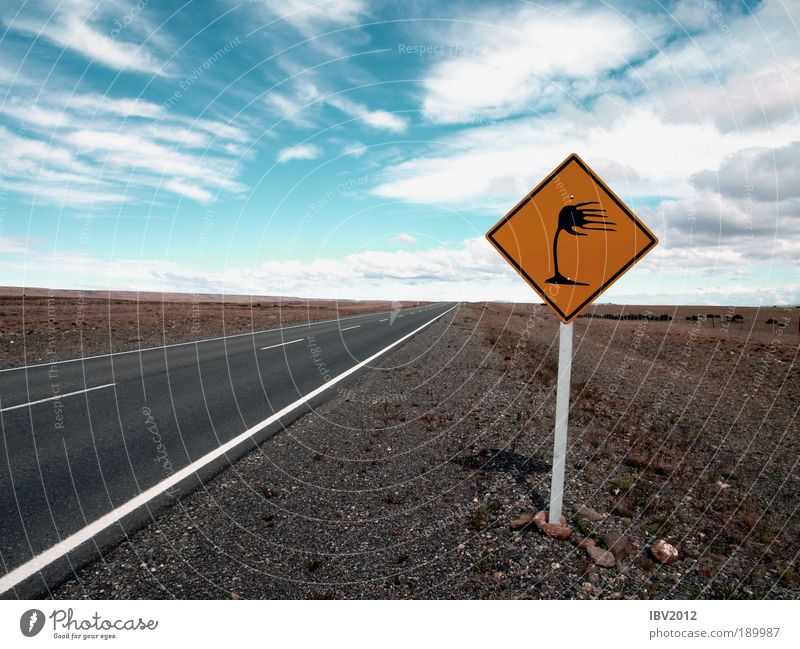 Caught by the wind Vacation & Travel Tourism Adventure Far-off places Freedom Argentina South America Sky Clouds Weather Wind Gale Infinity Colour photo