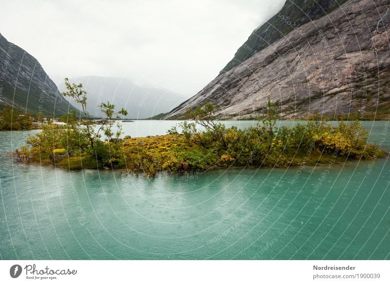 rain Adventure Far-off places Mountain Hiking Nature Landscape Elements Water Clouds Climate Weather Bad weather Fog Rain Plant Grass Moss Rock Lakeside Island