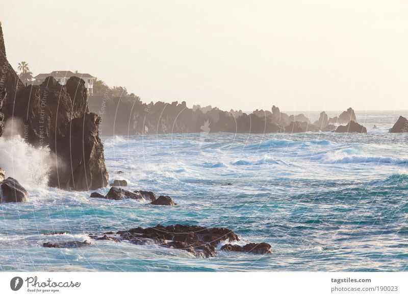 against the current Tenerife Surf Cliff daytime Vacation & Travel Canaries Relaxation Force of nature Lava Coast Rock Rocky coastline Yellow Fog