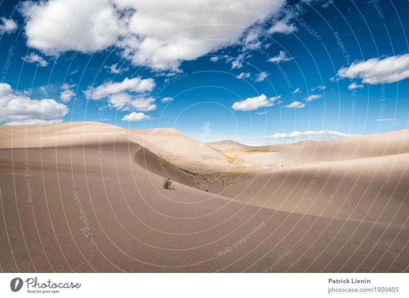 Great Sand Dunes National Park, Colorado Well-being Contentment Senses Relaxation Calm Meditation Vacation & Travel Far-off places Freedom Expedition Hiking