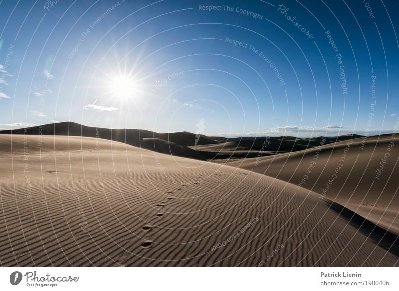 Great Sand Dunes National Park, Colorad Contentment Relaxation Calm Meditation Vacation & Travel Adventure Freedom Summer Environment Nature Landscape Sky