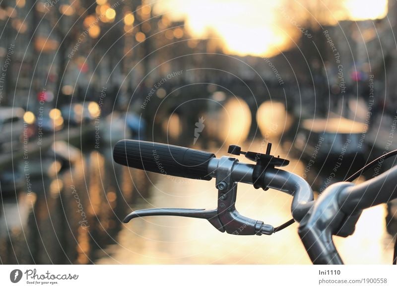 Winter in Amsterdam Cycling Nature Water Sunrise Sunset Sunlight Beautiful weather Netherlands Town Capital city Port City Old town Bridge Wall (barrier)