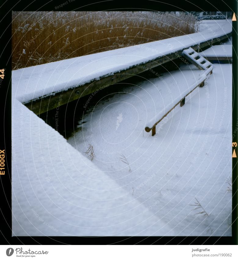 footbridge Environment Nature Landscape Winter Weather Snow Grass Coast Baltic Sea Lake Harbour Sharp-edged Cold Idyll Climate Pure Vacation & Travel Calm