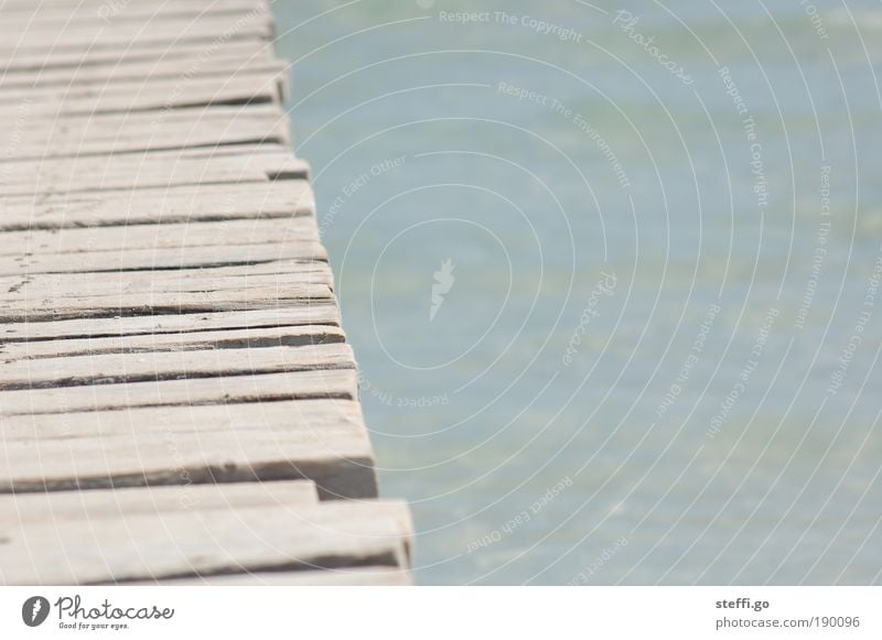 Boards that mean the world. Harmonious Relaxation Calm Vacation & Travel Far-off places Freedom Summer Summer vacation Sun Beach Ocean Nature Water