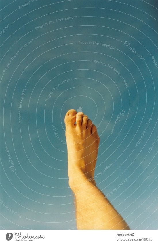 foot in the sky Outstretched Toes Human being Feet Sky Bright Blue Legs Barefoot