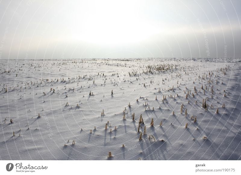 winter.time Earth Sky Sunlight Winter Snow Field Colour photo Exterior shot Deserted Day