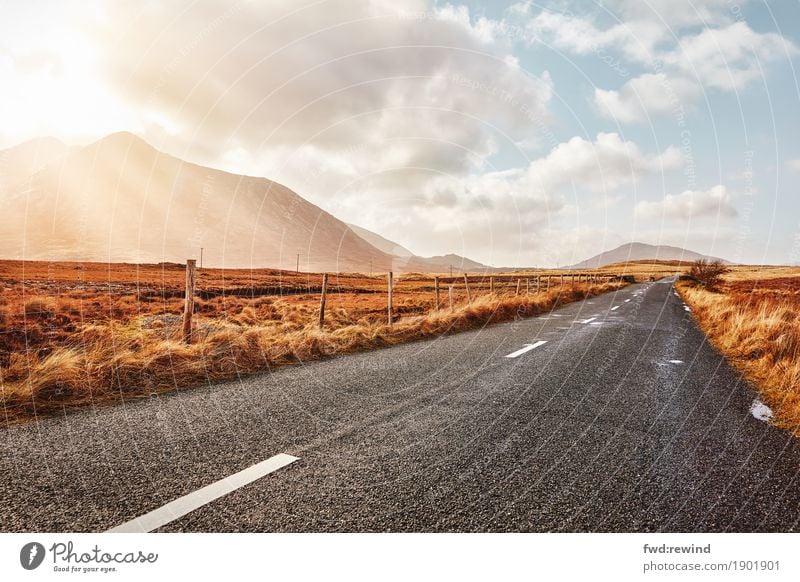 Long road ahead Joy Happy Vacation & Travel Tourism Trip Adventure Far-off places Freedom Sun Hiking Nature Landscape Clouds Sunlight Spring Summer Autumn