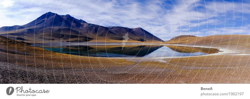 Panorama with lagoon and volcano in the Atacama Desert Environment Nature Landscape Plant Grass Bushes Moss Hill Mountain Andes Volcano Coast Bog Marsh Pond